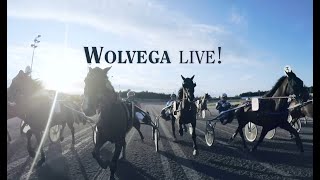 Wolvega Live  Uitzending integraal van 07122023 [upl. by Gaulin717]