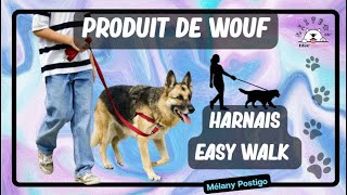 Harnais EASY WALK pour chiens  Larnaque du siècle  Produit pour chien pas Wouf [upl. by Oludoet563]