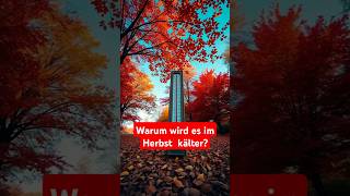 ❄️ Warum wird es im Herbst kälter 🍂shorts facts autumn nature education [upl. by Lennor590]