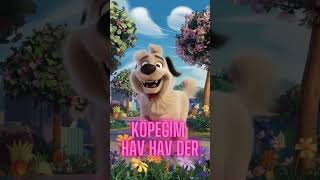 Köpeğim Hav Hav Der Eğlenceli Çocuk Şarkısı 🎶 shortvideo çocukşarkıları subscribetomychannel [upl. by Owain]