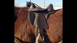 Introduction to Treeless Saddle Fit and the EDIX Saddle System [upl. by Allisirp595]