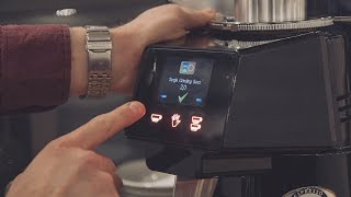 How To Adjust The Fiorenzato Coffee Grinder  Wogan Coffee [upl. by Ain345]