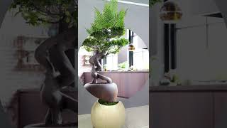 Indoor plant decoration 🪴 plant interiorplant decoration decor shorts viralshort [upl. by Ybrek]