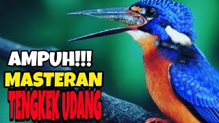 🔴 MASTERAN TENGKEK UDANG [upl. by Iram]