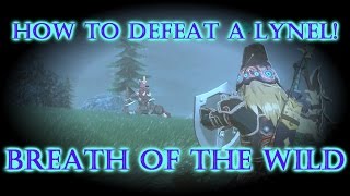 Lynel Fight  How to Defeat a Lynel REVENGE Breath of the Wild [upl. by Thomson404]