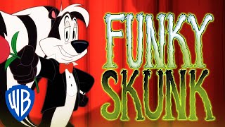 Merry Melodies Skunk Funk ft Pepé Le Pew  Looney Tunes SINGALONG  WB Kids [upl. by Oyr]