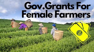 Gov Grants for First Time Female Farmers [upl. by Wolf]