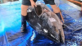 400 KG Giant Bluefin Tuna cutting for Sashimi  Bluefin Tuna cutting skill [upl. by Doll717]