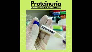 Proteinuria [upl. by Gove]