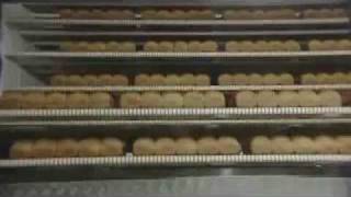 The industrial bread process an introduction for children [upl. by Sevart370]