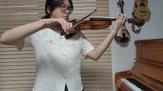 🎻 Rieding Violin Concerto G major op34 1st movement [upl. by Akemehc]