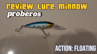 REVIEW LURE MINNOW  PROBEROS Action Floating [upl. by Sacram832]