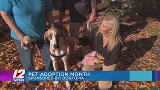 Dogtopia and Rhode Home Rescue share about pet adoption [upl. by Ybrek]