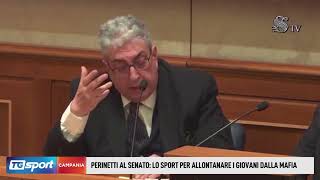 Perinetti al Senato lo sport per allontanare i giovani dalla criminalità [upl. by Salomon]