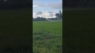 Insecticide spraying DJI T40 drone djidrone agriculture djit40 agriculturedrone sorts [upl. by Bain]