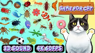 Best Cat Games 2024  CAT GAME TV  Ultimate CAT TV Compilation 5  3 Hours 🐝🐞🦋🦎🦜🐜🐭🧵 [upl. by Nivar]