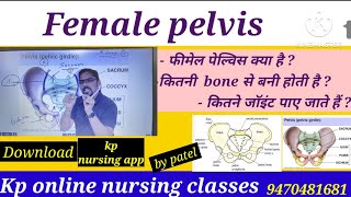 Female Pelvis  Structure  Introduction  Bone and Joint  PART  01 फीमेल पेल्विस क्या है [upl. by Yeleek]