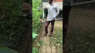 ⚡️ Short Fast Satisfying Weed Eating ⚡️ stihl [upl. by Eelaroc]