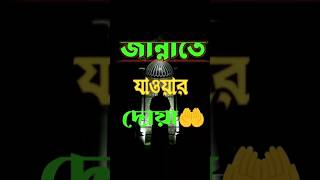 জান্নাতে যাওয়ার দোয়া  Jannate Jaoyar Doya shorts youtubeshorts islamicpreacher islamicscholar [upl. by Cynthia155]