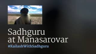 Sadhguru at Mansarovar [upl. by Forsyth211]