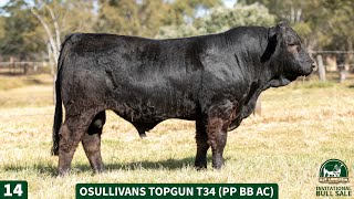 14  OSULLIVANS TOPGUN T34 PP BB AC [upl. by Nomi]