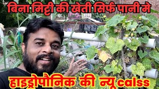 Welcome to Hydroponic calss first Part ❤️ हाइड्रोपोनिक की इस क्लास में स्वागत [upl. by Stephan]