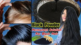 Permanent Solution For Black HairMake Hair Black Without DyeIndigo ।Garima Singh। [upl. by Tuorah506]