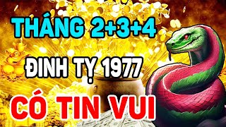 Tháng 234 Cực Giàu ĐINH TỴ 1977 Trời ban Lộc Cực Khủng Bỗng Trúng Lớn Đổi Đời Trả Sạch Nợ [upl. by Perrine776]