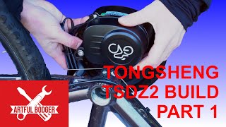 Unveiling The Ultimate Tongsheng Tsdz2 Mid Drive Ebike Motor Bike Build [upl. by Mini703]