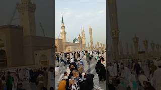 Shahair madina chal chaliye foryou trending ytshorts viralvideo islam islamic motivation [upl. by Ssalguod]