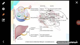 Inflammation part3 chemial mediators [upl. by Hamil903]