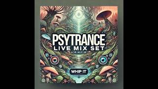 Psytrance Progressive Sunrise Live Mix 🚀 Nov 2024 🎧 133 BPM ❤️ Whip It 024 [upl. by Guglielmo178]