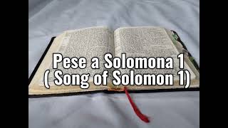 Tusi Paia Samoa  Feagaiga Tuai O le Pese a Solomona 1 Song of Solomon 1 [upl. by Nnylatsyrc]