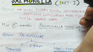 Salmonella  Part 1   Microbiology  Handwritten notes [upl. by Idnod702]