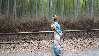 Kyotos Arashiyama Bamboo Forest [upl. by Vtehsta]