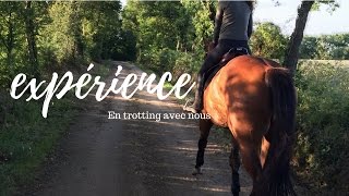 BALADE A CHEVAL Trotting en pleine nature 🌲🌳🍃 [upl. by Sosthena]