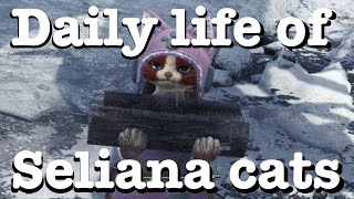 MHW Iceborne The daily lives of Seliana cats [upl. by Yleme]