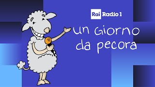 Un Giorno Da Pecora Radio1  diretta del 03062021 [upl. by Tabbatha680]