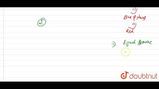 How will you distinguish between benzyl alcohol and phenol [upl. by Blunt]