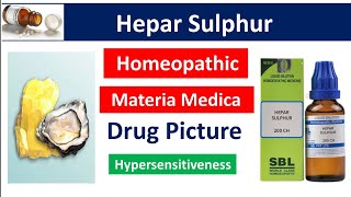 Hepar Sulphur Homeopathic Medicine  Drug Picture  Materia Medica bhms homoeopathy [upl. by Penland241]