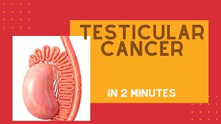 Testicular cancer in under 2 mins [upl. by Bocaj]