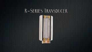 Royer Labs RSeries Ribbon Transducer Explained [upl. by Lliw]