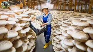 How Mushrooms Are Cultivated and Harvested  The Hidden World of Fungi🍄 [upl. by Ttenaej181]