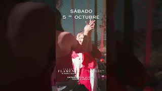 Experience the Best Flamenco Tardeo in Valencia Spain 🌞💃🎶 [upl. by Anas240]