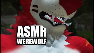 ASMR ∣ A werewolf devours your ears 🐺 Mouth Sounds amp More [upl. by Nniroc]