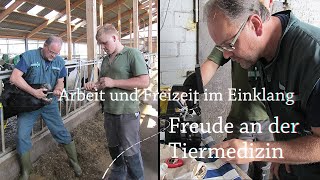 Stellenanzeige für den Großtierbereich Tierärztin  Tierarzt [upl. by Allebara]