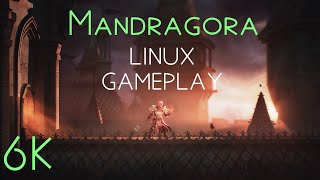 Mandragora  6K  LINUX Gameplay [upl. by Moran]