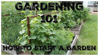 Gardening 101 How To Start A Garden [upl. by Clarisse445]