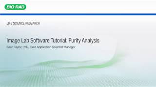 Image Lab Software Tutorial Purity Analysis [upl. by Swehttam]