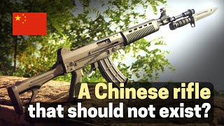 A Chinese rifle should not exist QBZ03 assault rifle  What is its value comparing with Type 95 [upl. by Timon510]